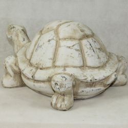 Obr-želvy 100902