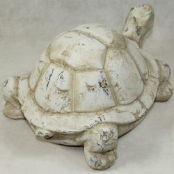 Obr-želvy 100902